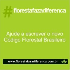 Movimento #florestafazadiferena promove debate ao vivo na manh desta tera